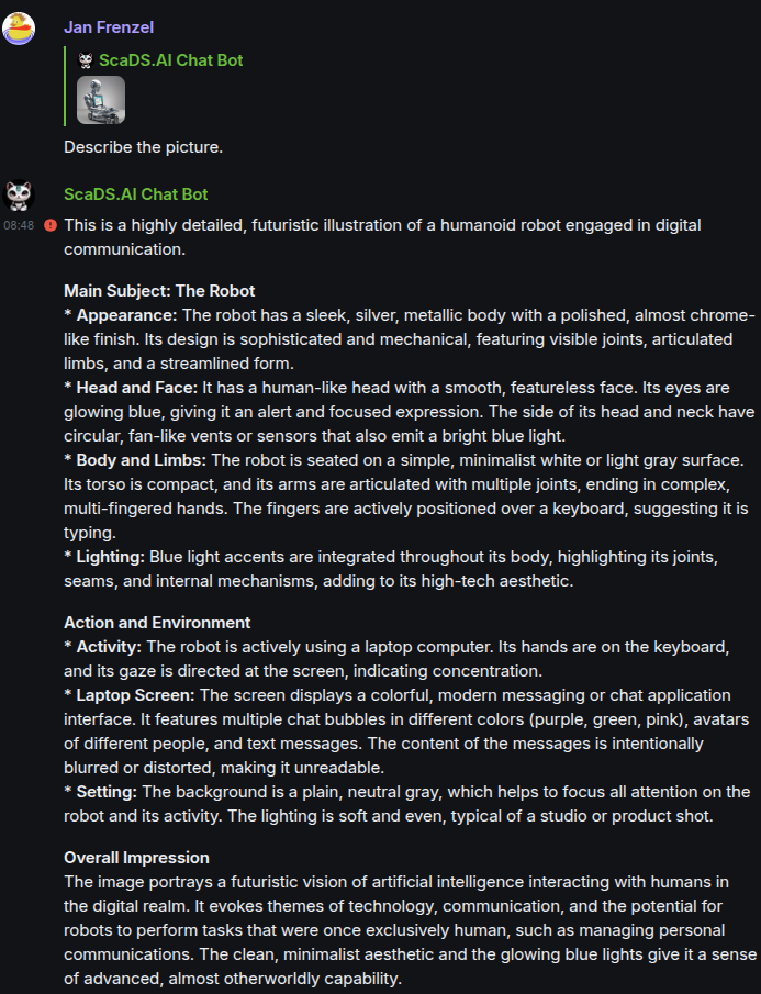 Asking for a description of an image